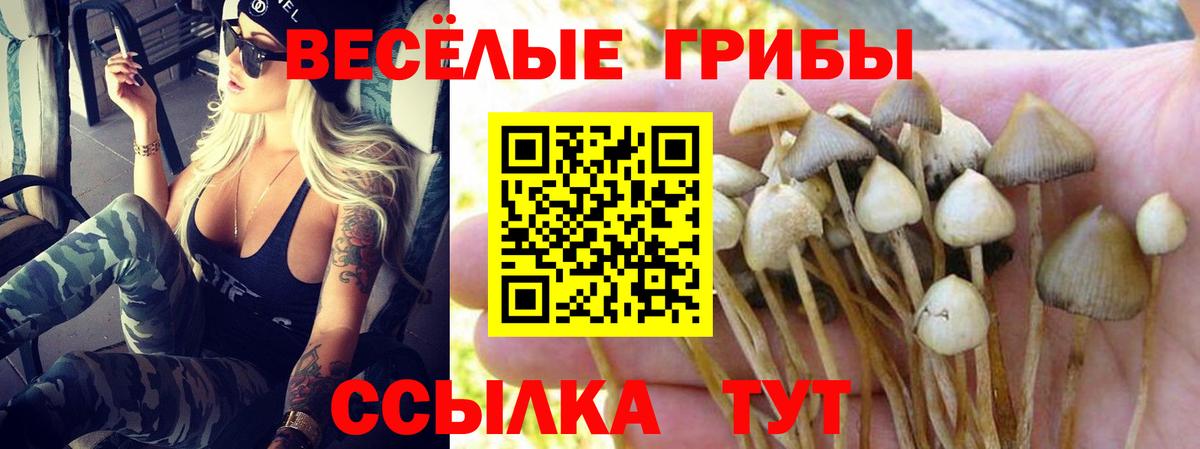 Галлюциногенные грибы MAGIC MUSHROOMS  Вход с VPN  Галлюциногенные грибы ЛСД  Богородицк 