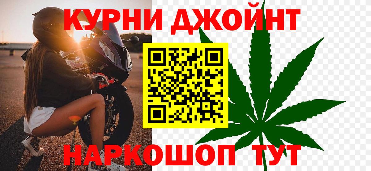 Конопля сатива Богородицк